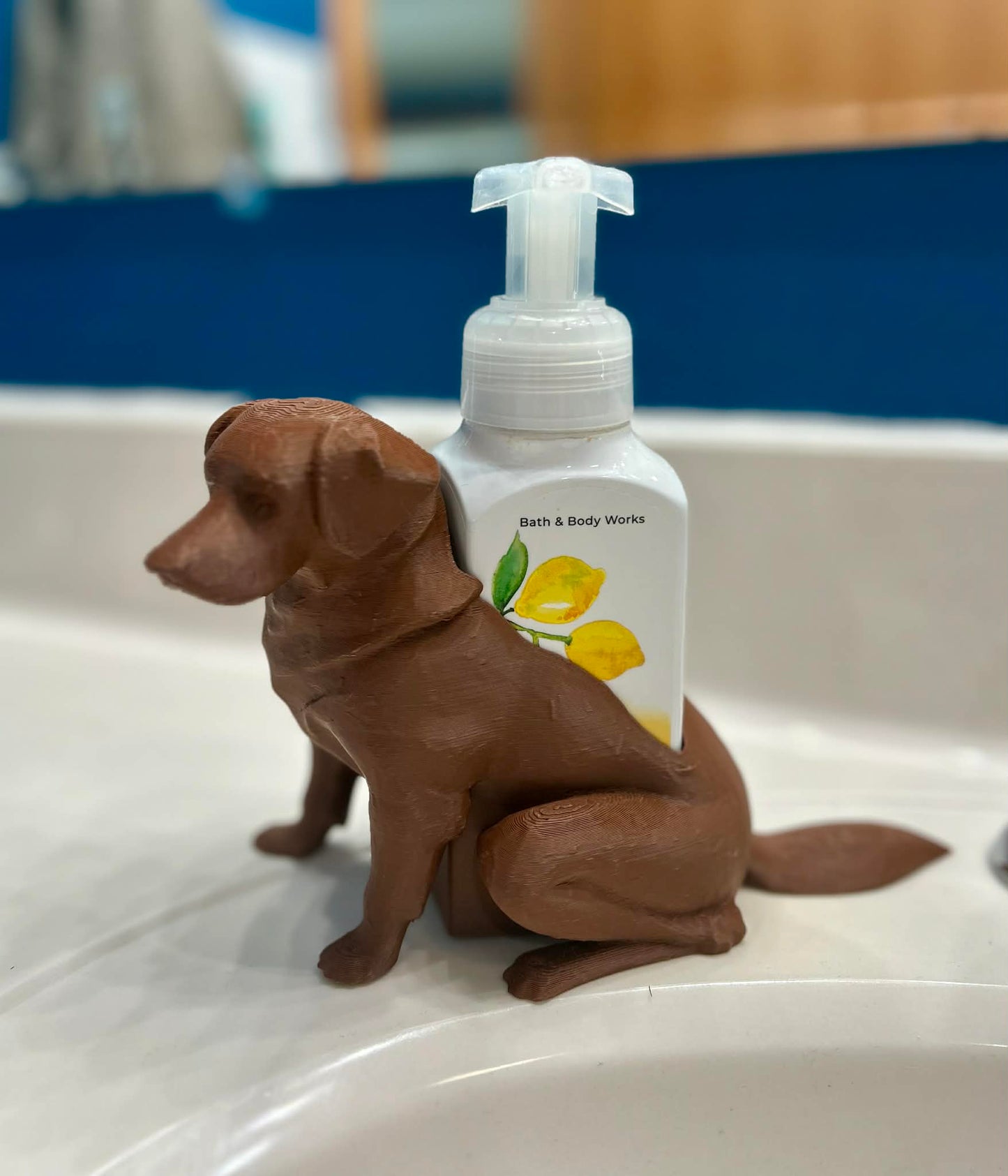 3D Printed Lab Soap Holder