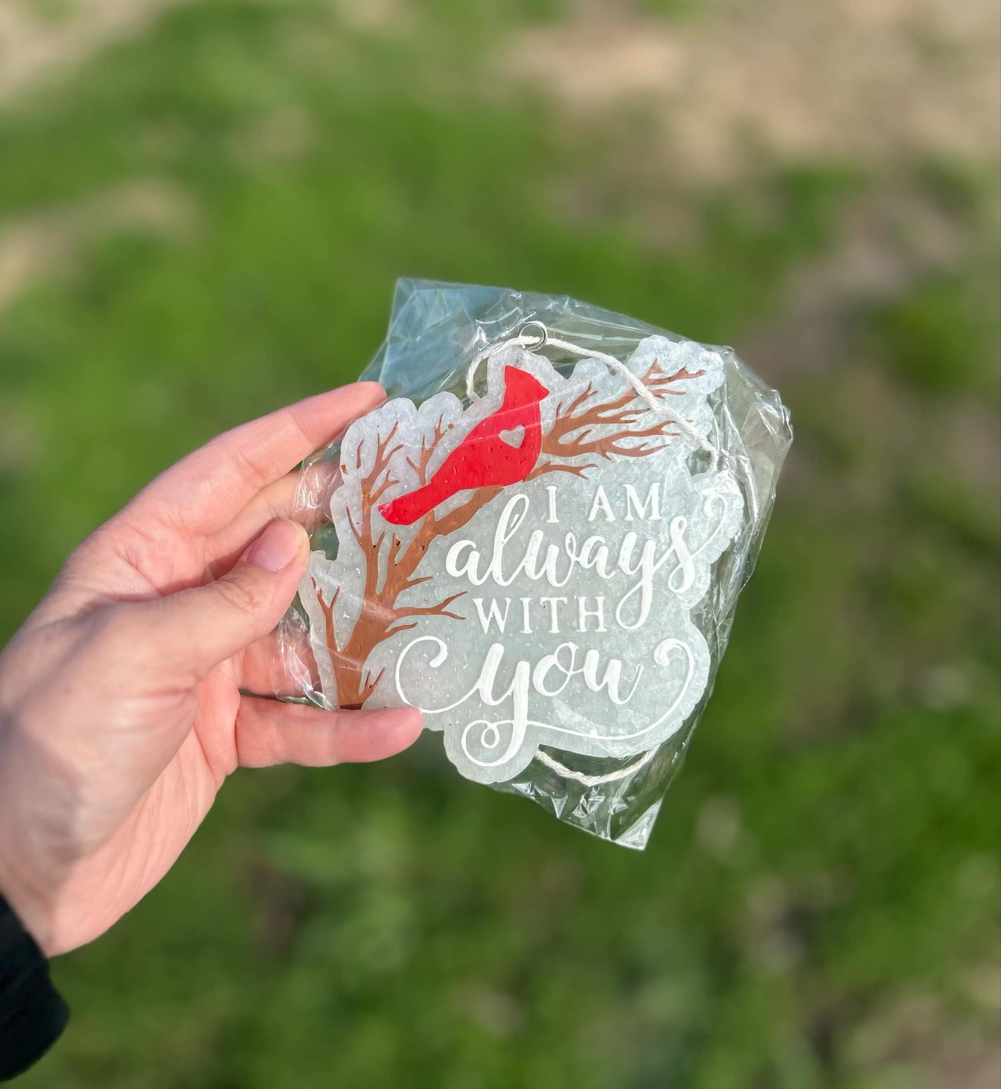 Cardinal Freshie in Cotton Candy