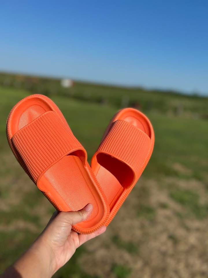 RTS Adult Slides Solids