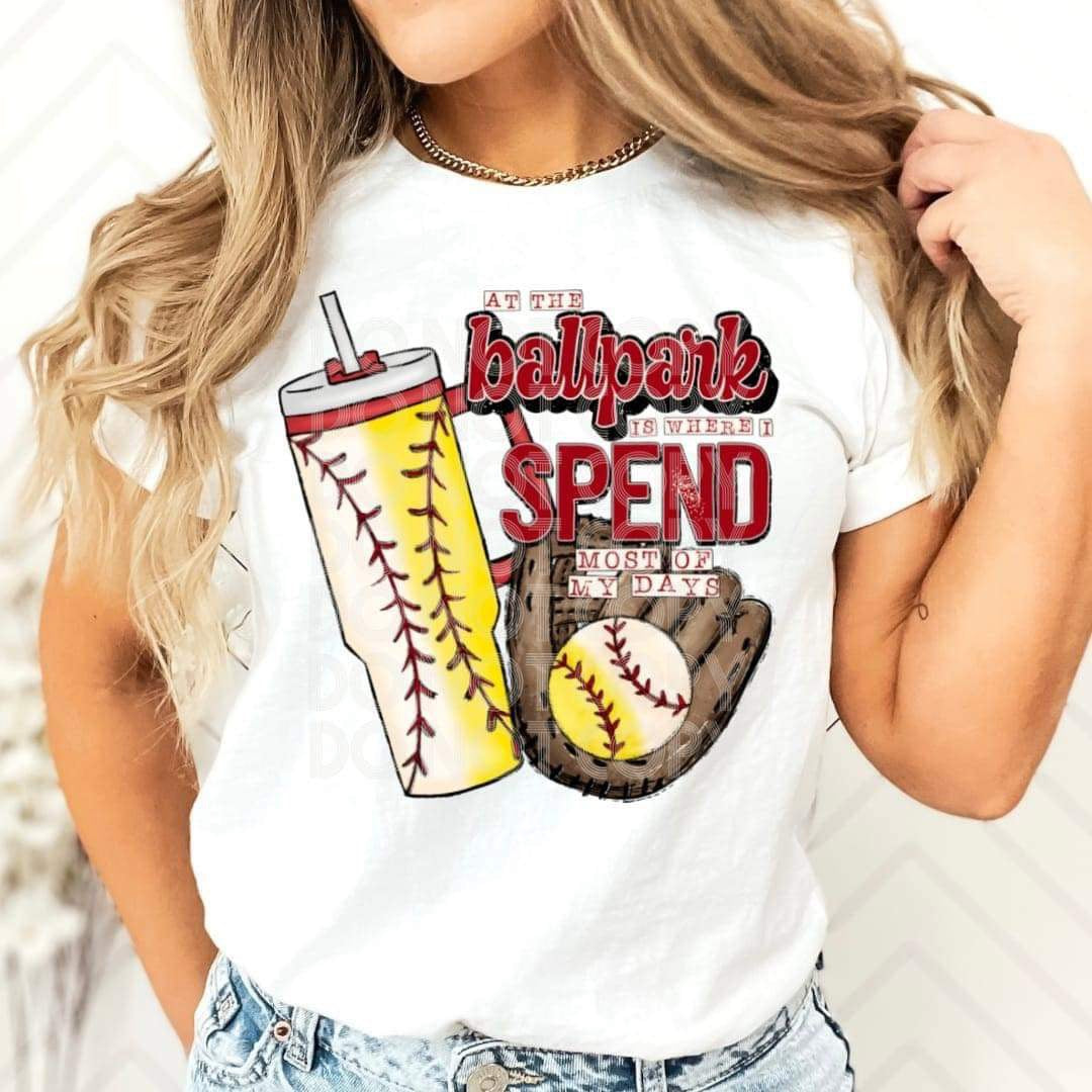 At The Ballpark - Both B/S Sub Print