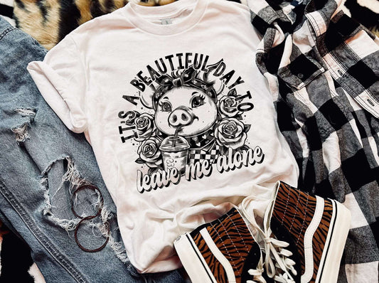 DTF Print - It’s a beautiful day to leave me alone