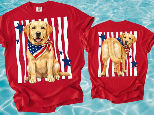 RWB Labrador Retriever Top