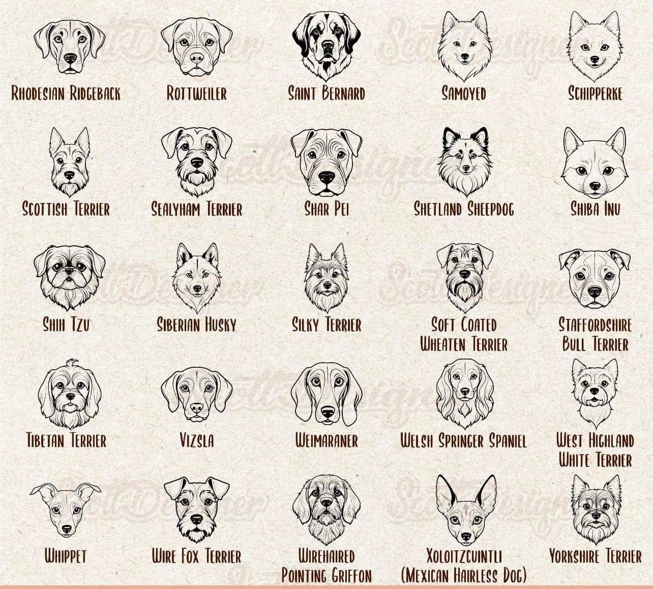 Dog / Cat Toppers - 3 pets max