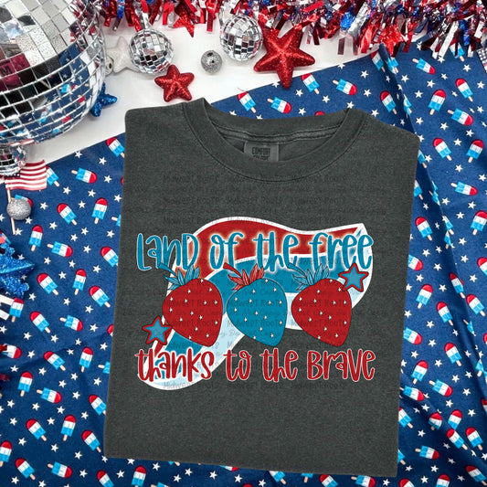 Land Of The Free Top