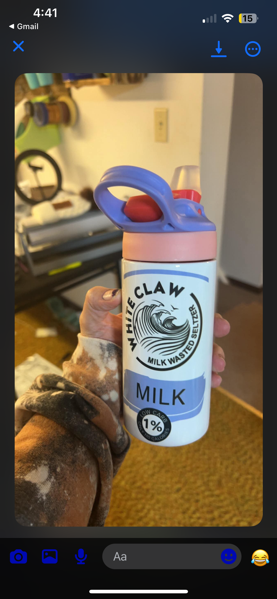 Alcoholic Beverage Kids Sippy or Waterbottle