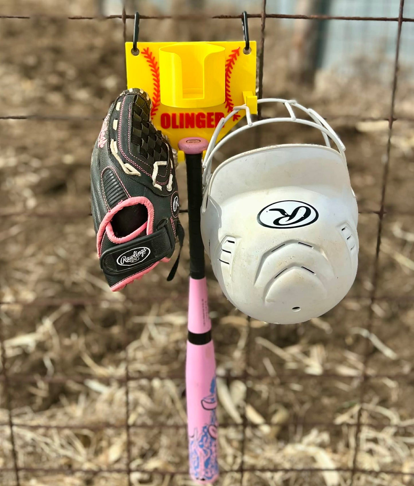 3D Printed Dugout Buddy