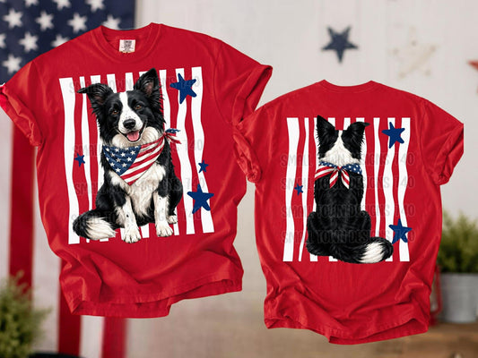 WS Completed RWB Border Collie Kids Top