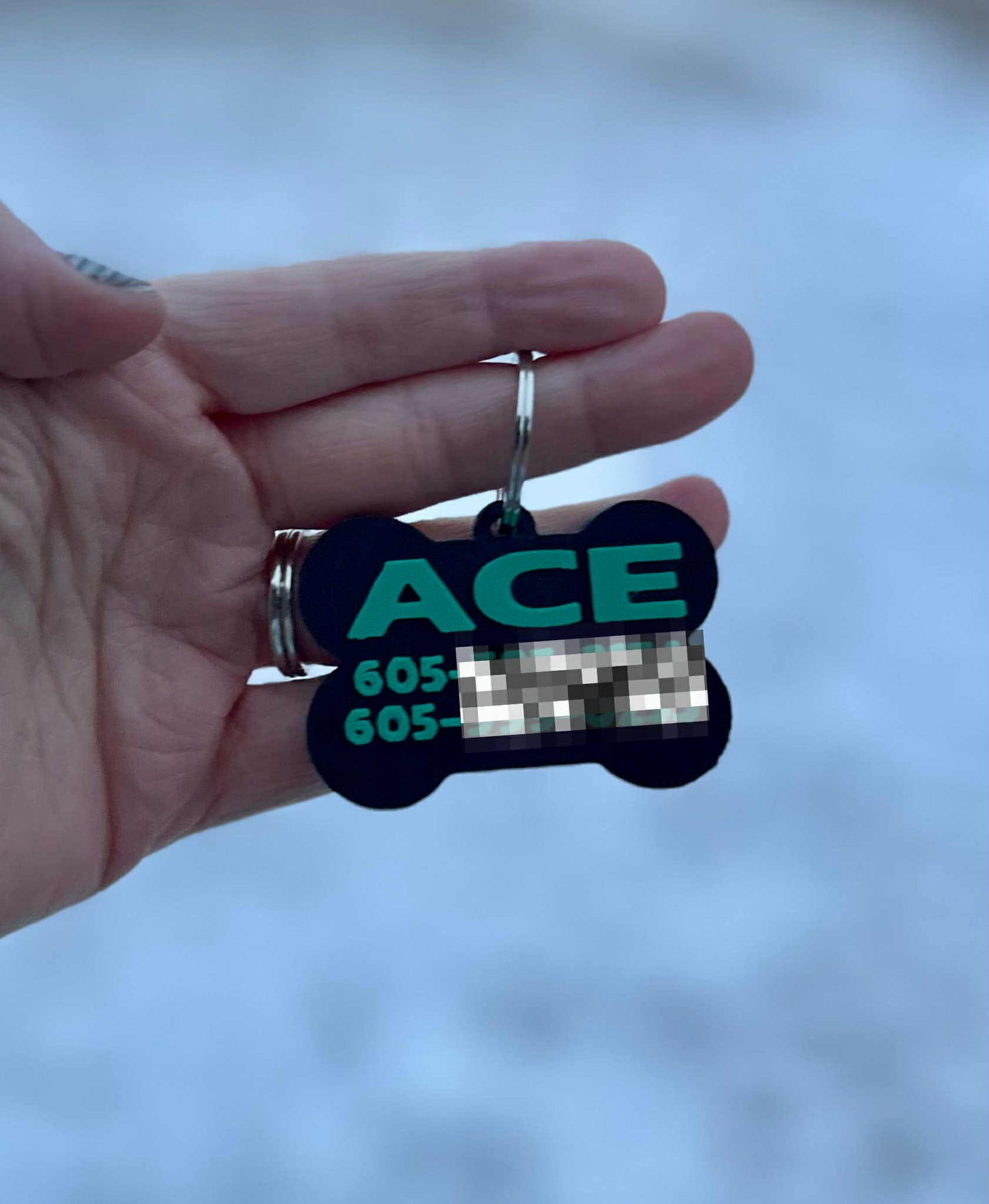 3D Printed Dog Tag