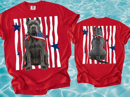 WS Completed RWB Cane Corso Kids Top
