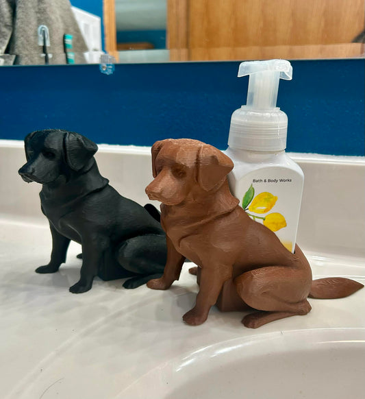 3D Printed Lab Soap Holder