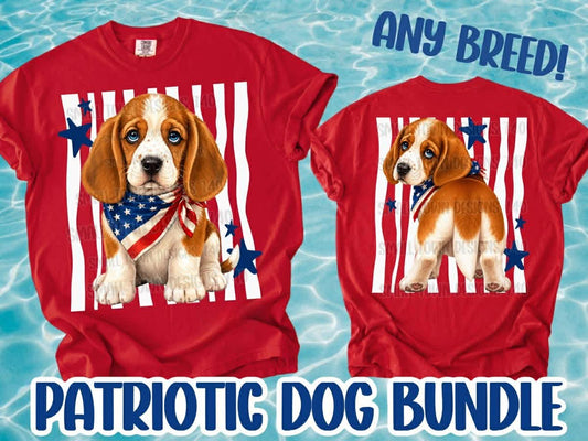 RWB Beagle Top