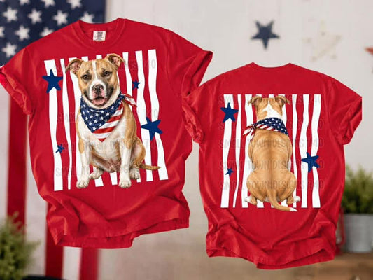 WS Completed RWB Pit Bull Top