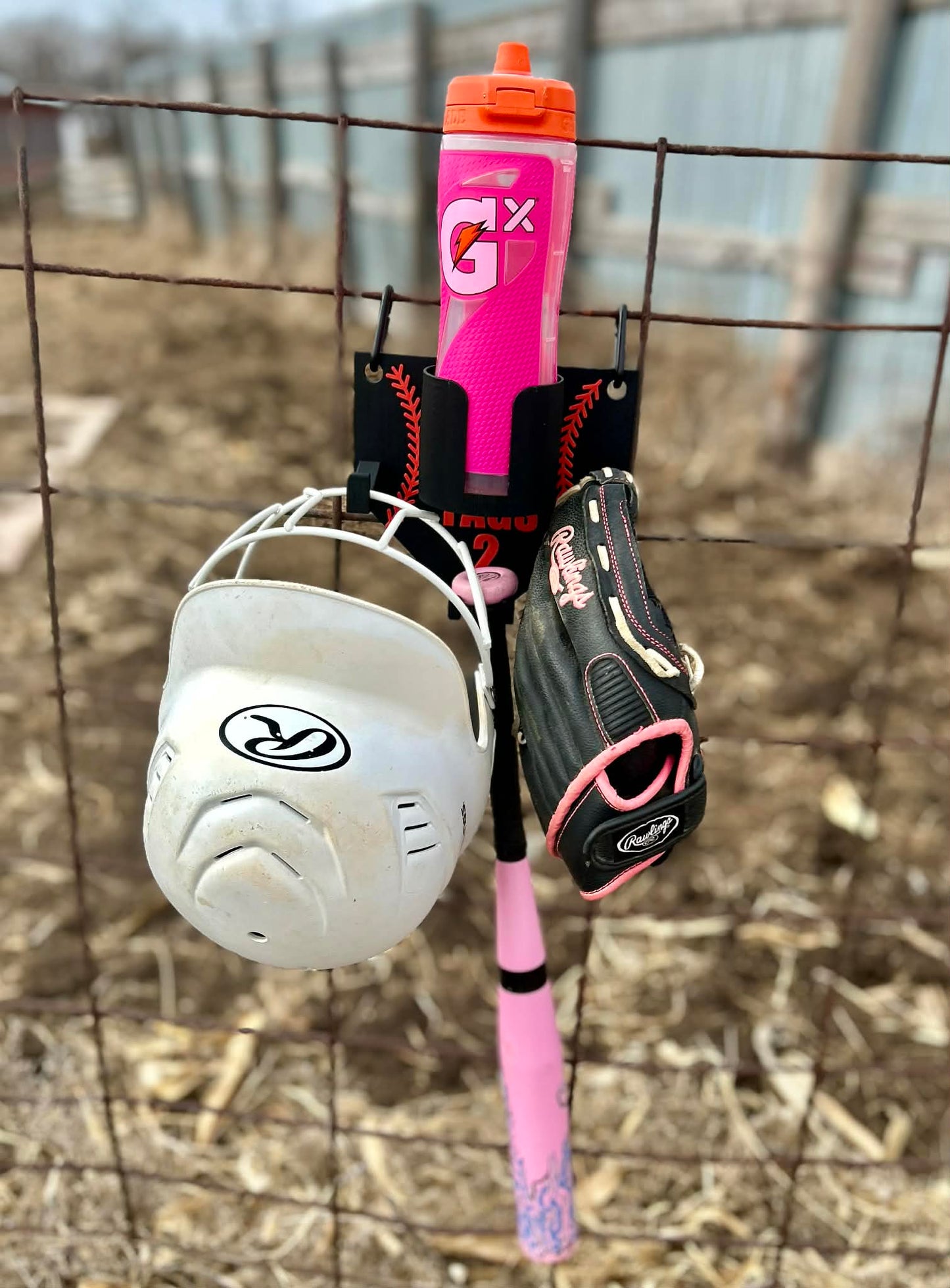 3D Printed Dugout Buddy