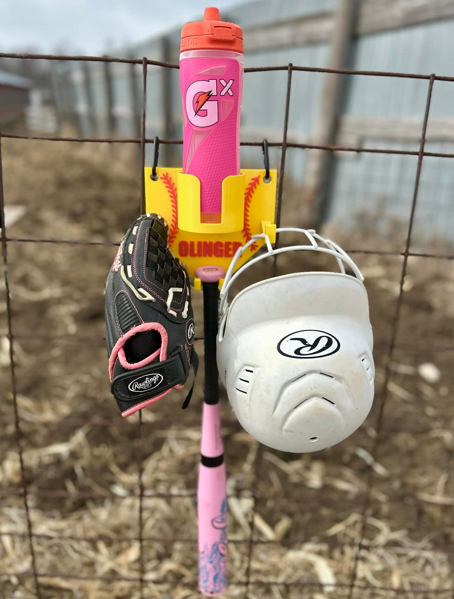 3D Printed Dugout Buddy
