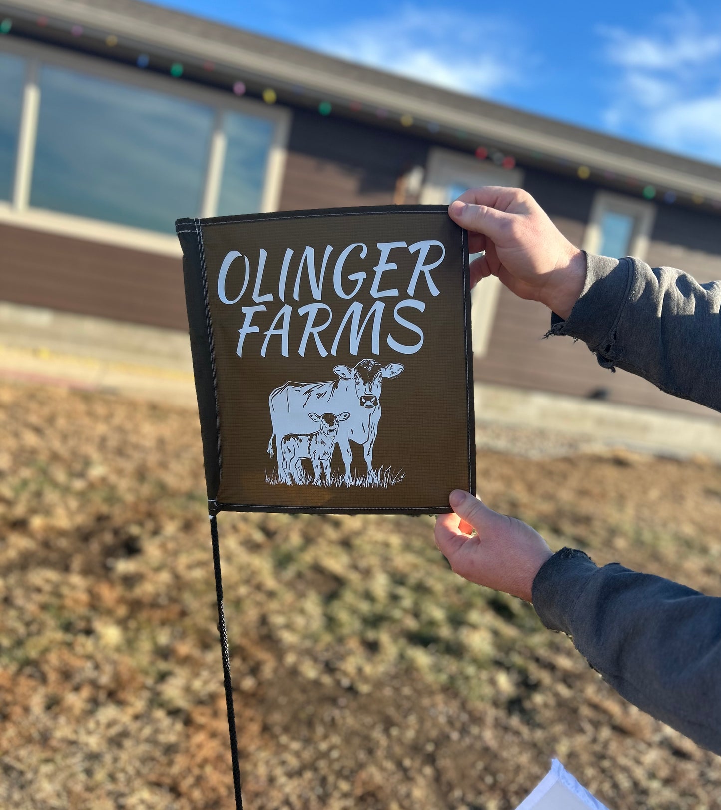 Custom Cattle Flag Whips