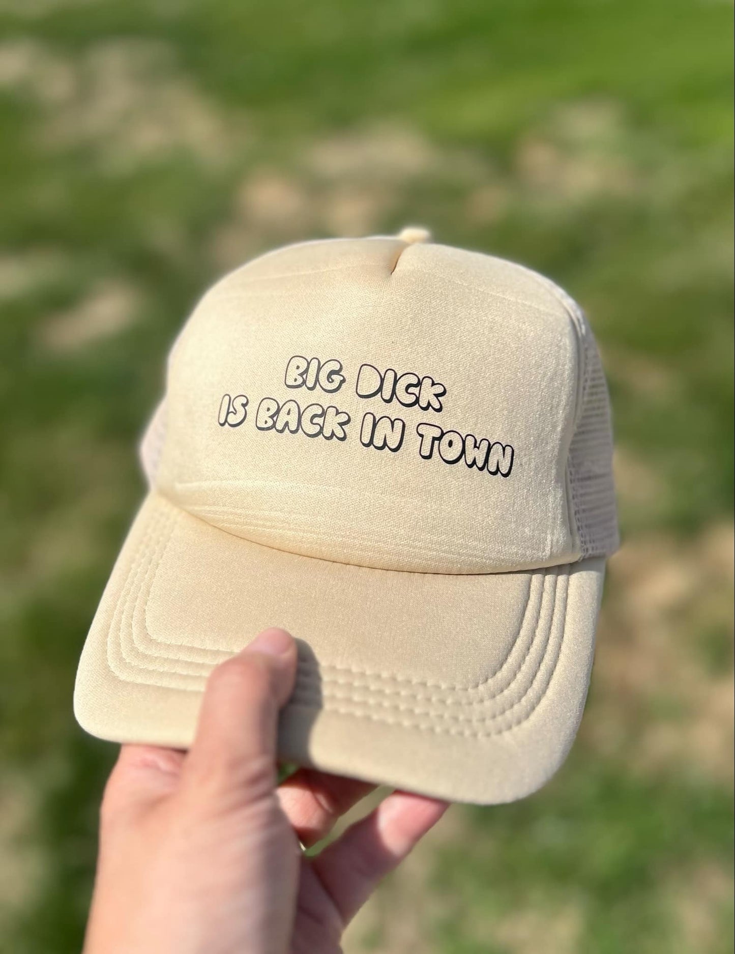 DTF Print - Big Dick Is Back In Town