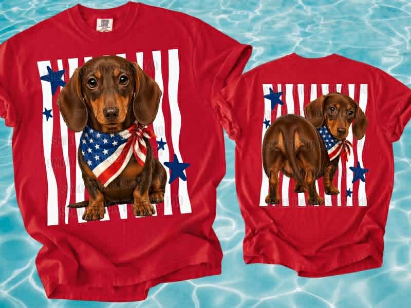 RWB Dachshund Top