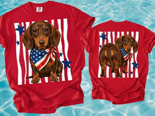 RWB Dachshund Top