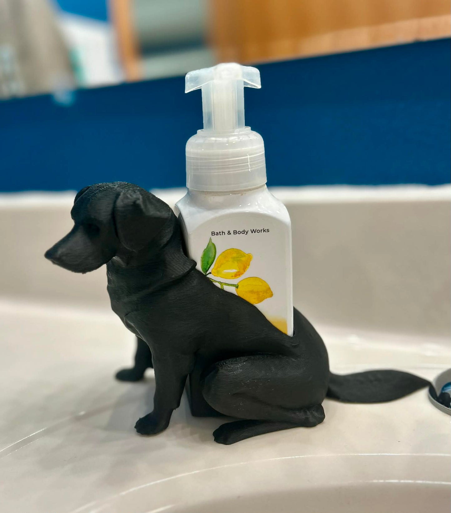 3D Printed Lab Soap Holder