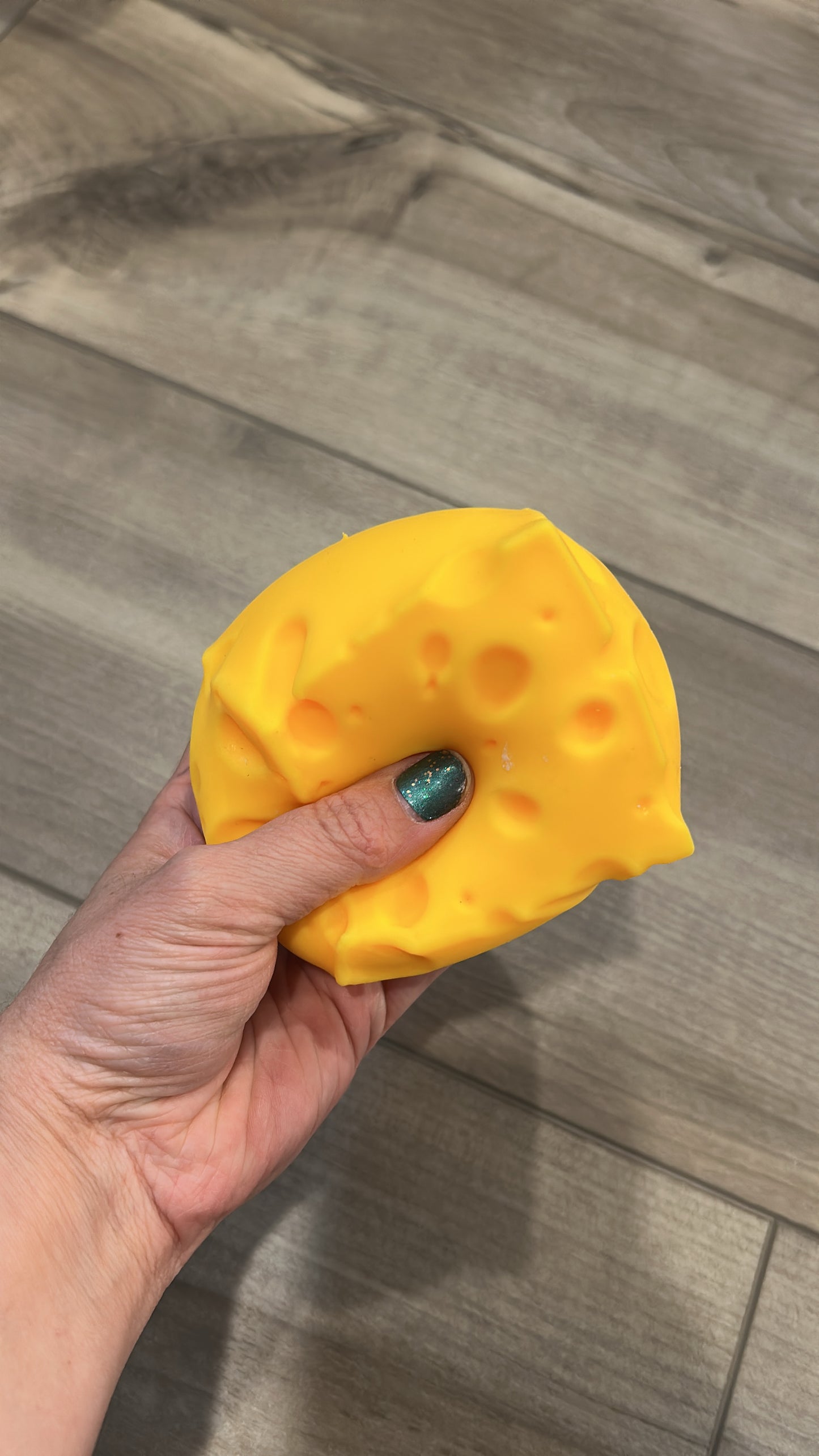 RTS Cheese Squishy Toy