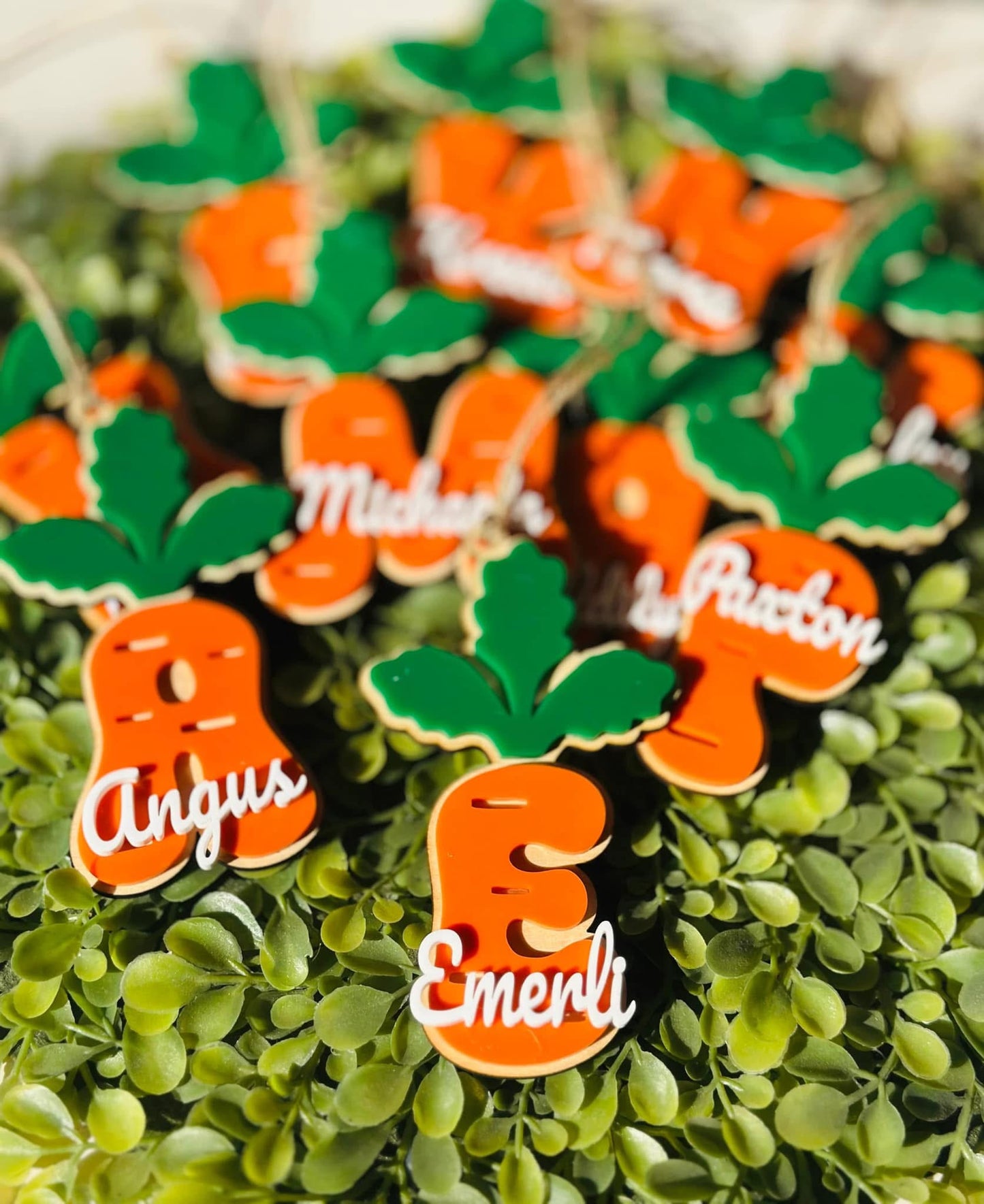 Carrot Name Tag