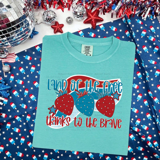 WS Completed Land of the Free Thanks To The Brave